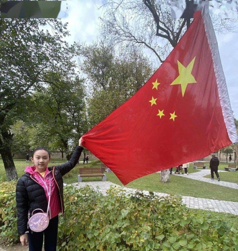 破碎的动物图形2