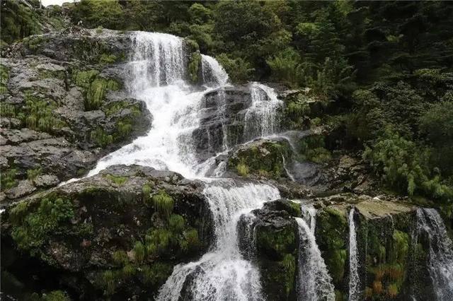农畜山羊逃脱