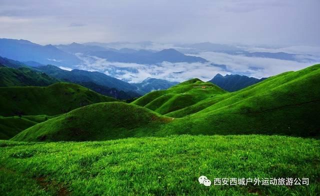 怎么让狗狗自己玩游戏画面